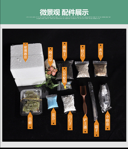 创意多肉苔藓微景观迷你植物盆栽DIY材料包整套摆件（不含瓶子）