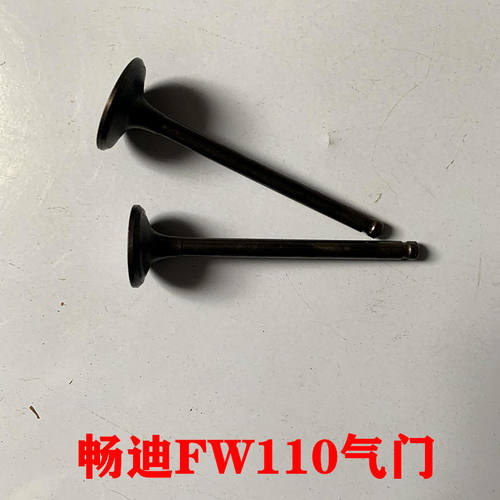 豪爵铃木弯梁摩托车配件畅迪110气门FW110气门油封进排气阀气阀杆