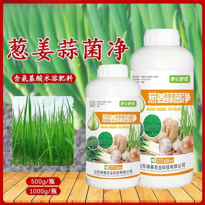 大小葱姜蒜菌净干尖灵葱姜蒜菌净