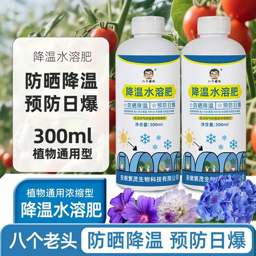 大棚降温剂水溶肥温室大棚