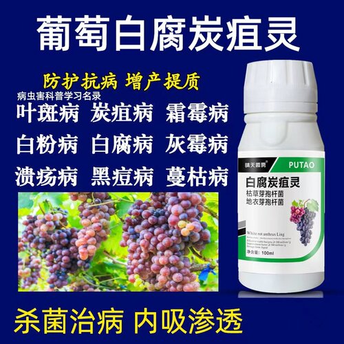 葡萄专用药白腐炭疽灵烂果病全治