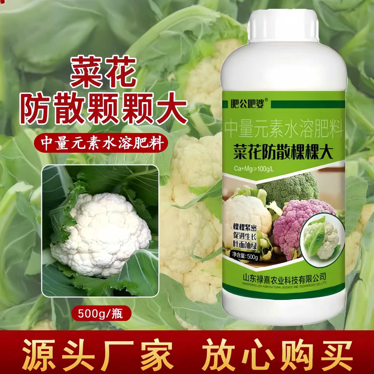 菜花防散棵促生长油绿紧密增白