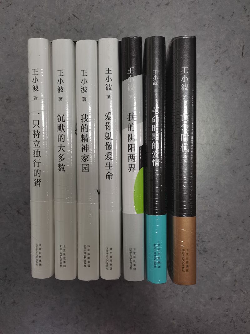 王小波作品集全七册我的精神家园