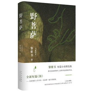 黎紫书签名本（亲签） 野菩萨  签名本/签名钤印本两种规格可选  黎紫书短篇小说精选集  略有磕碰介意慎拍