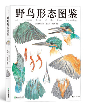 区域包邮    后浪  野鸟形态图鉴   （日）赤勘兵卫