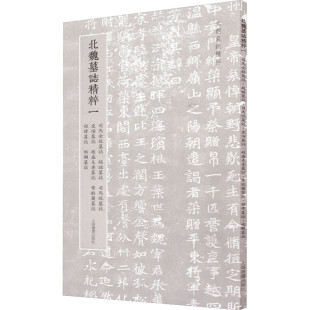 区域包邮 上海书画 北朝墓志精粹:北魏墓志精粹一——司马金龙墓志.赵谧墓志.司马悦墓志.皮演墓志.赵盛夫妻墓志.常敬兰墓志