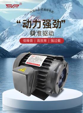 3-PHASE神煜油泵电机1 2 3 5HP/0.75 1.5 2.2 3.75Kw配VP20 30 40