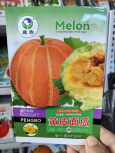 【黄皮面瓜种子】皮薄甜瓜香瓜种子