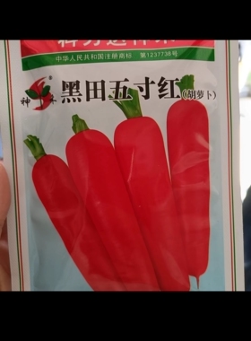 【黑田五寸红胡萝卜】4000粒种子甜脆水果萝卜蔬菜种子