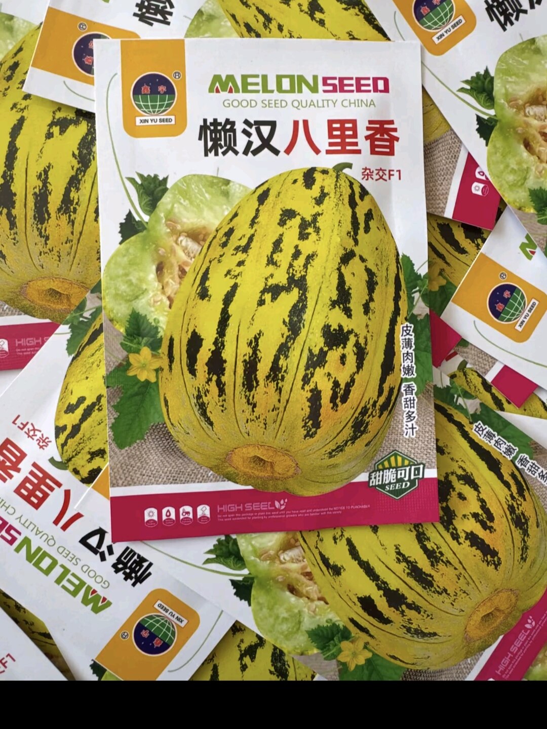 八里香甜瓜种子薄皮懒人脆瓜香瓜蔬菜种子/种苗