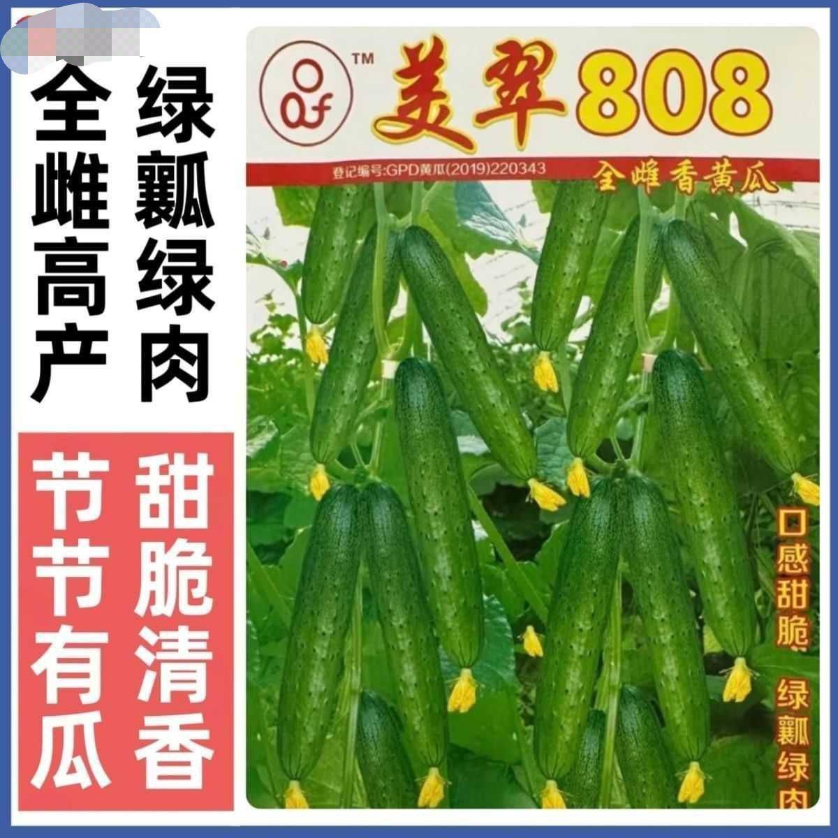 美翠808全雌香黄瓜种子绿瓤绿肉甜脆东北黄瓜籽水果黄瓜种子,农用物资,蔬菜种子/种苗,淘宝优惠券,粉丝福利购,淘宝优惠卷