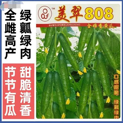 美翠808全雌香黄瓜种子绿瓤绿肉甜脆东北黄瓜籽水果黄瓜种子