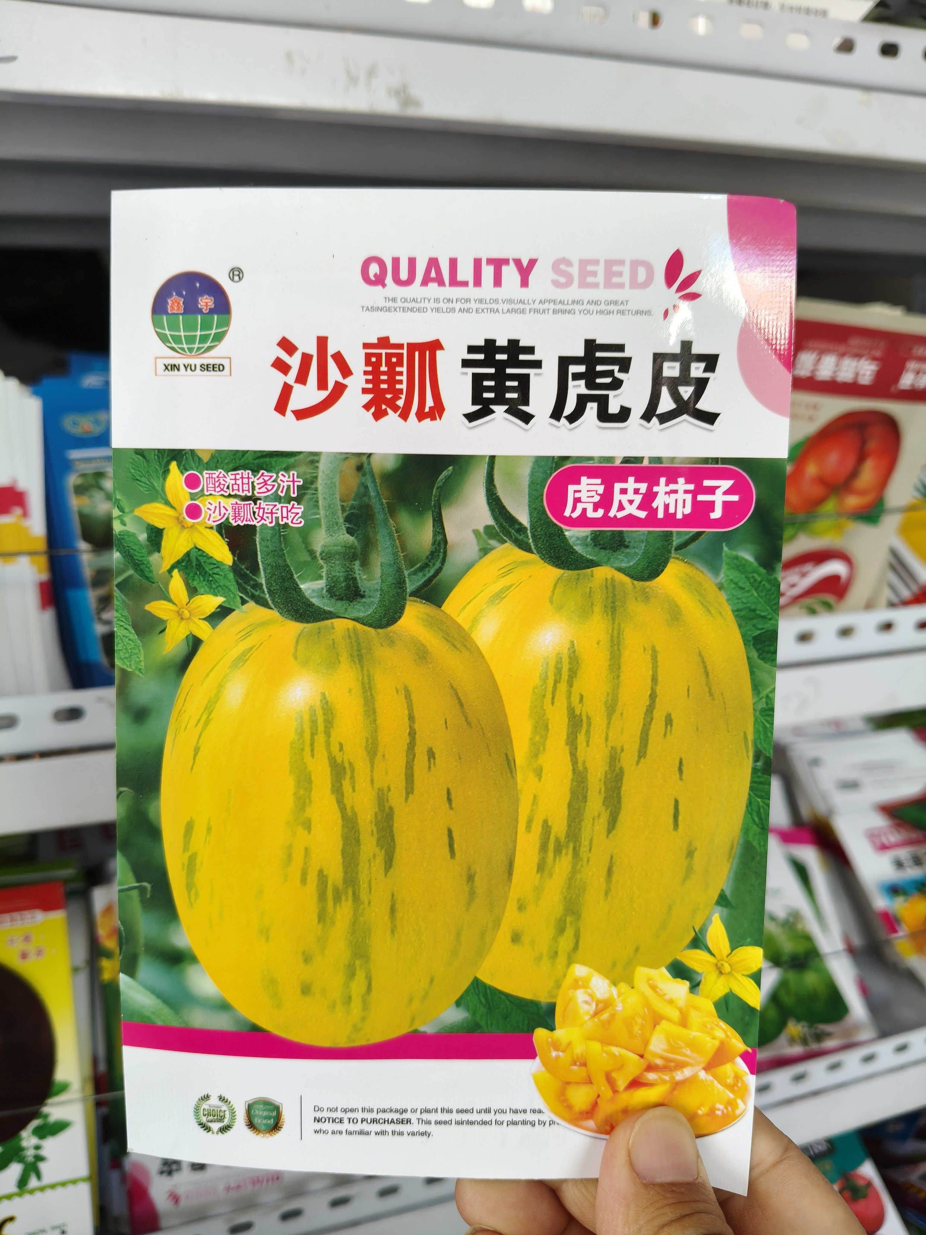 沙瓤虎皮柿子种子黄虎皮柿子种子黄瓤柿子种子