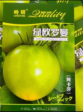 【绿欧罗曼阿卡莎】柿子种子甜面起沙大果青苹果绿番茄种子