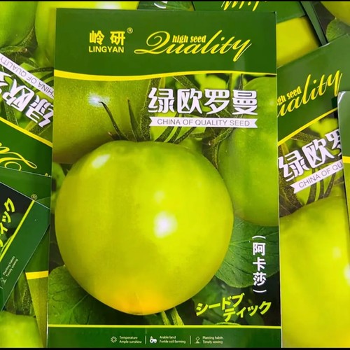 【绿欧罗曼阿卡莎】柿子种子甜面起沙大果青苹果绿番茄种子