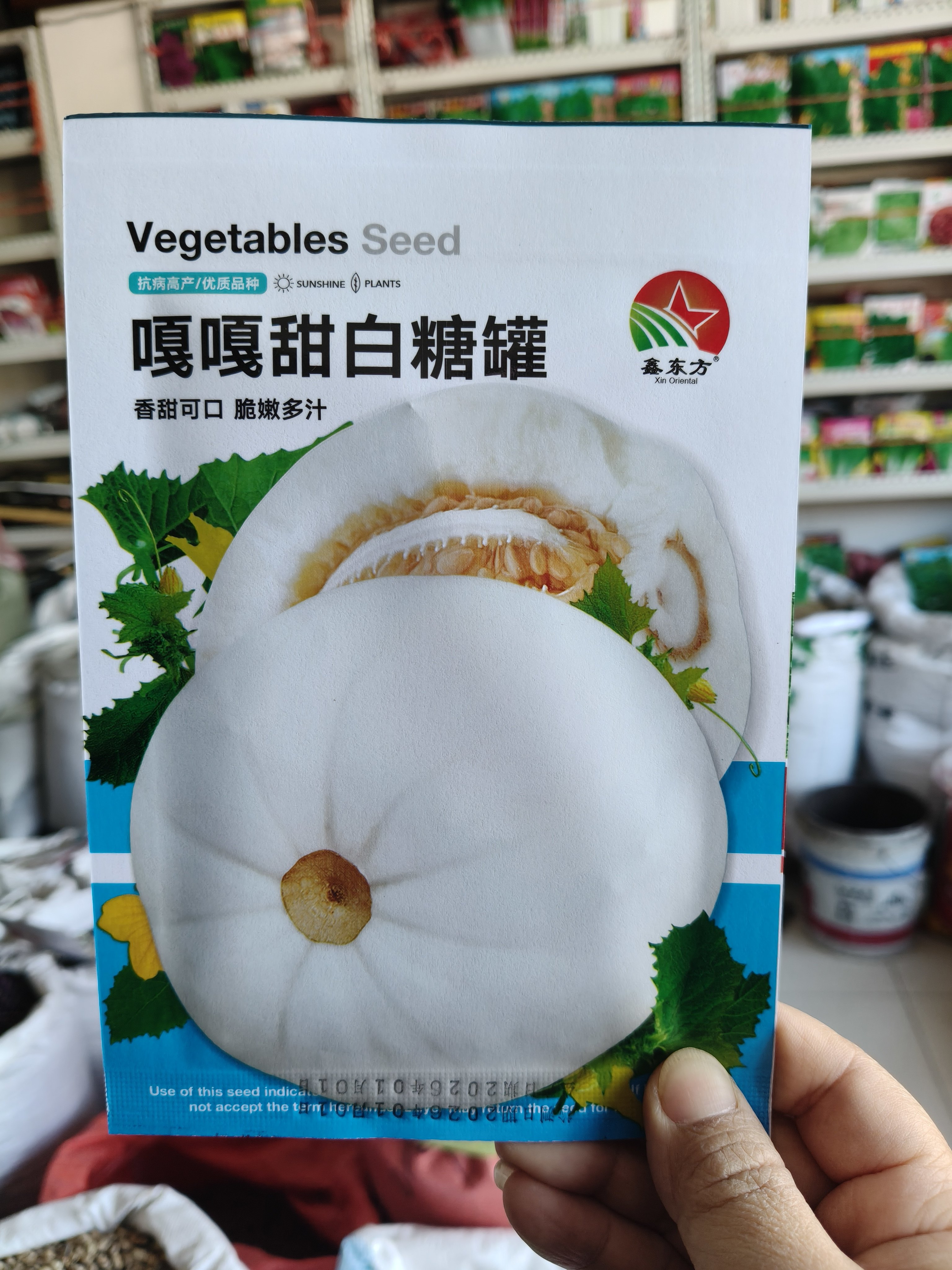 【白糖罐香瓜种子】鑫东方甜瓜香瓜种子大全图片