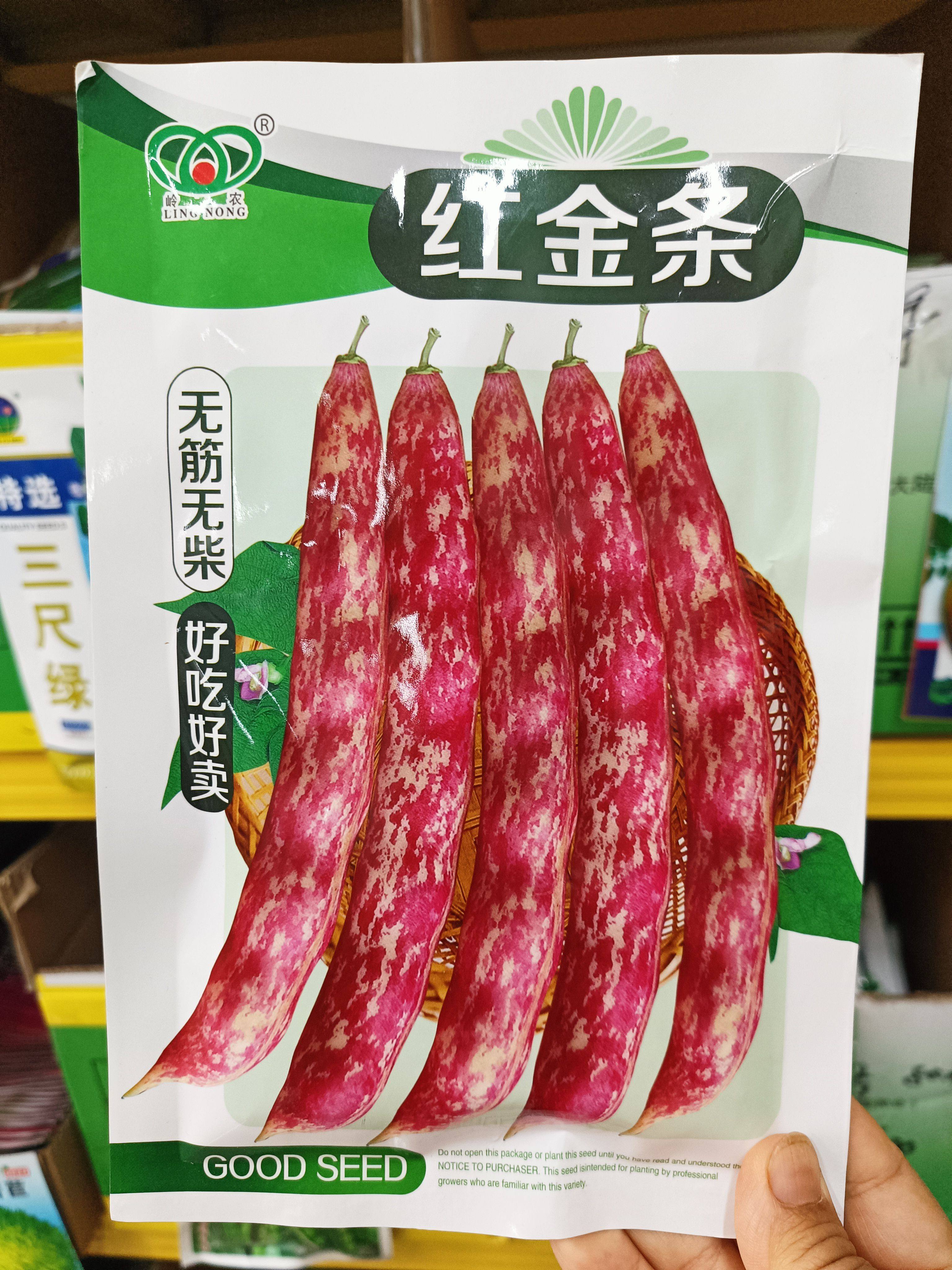 【红金条】东北早熟红金钩架豆种子无筋无纤维面鼓豆种籽孑