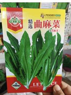 曲麻菜种子包装随机野生苦麻菜籽山野菜种籽农家老品种