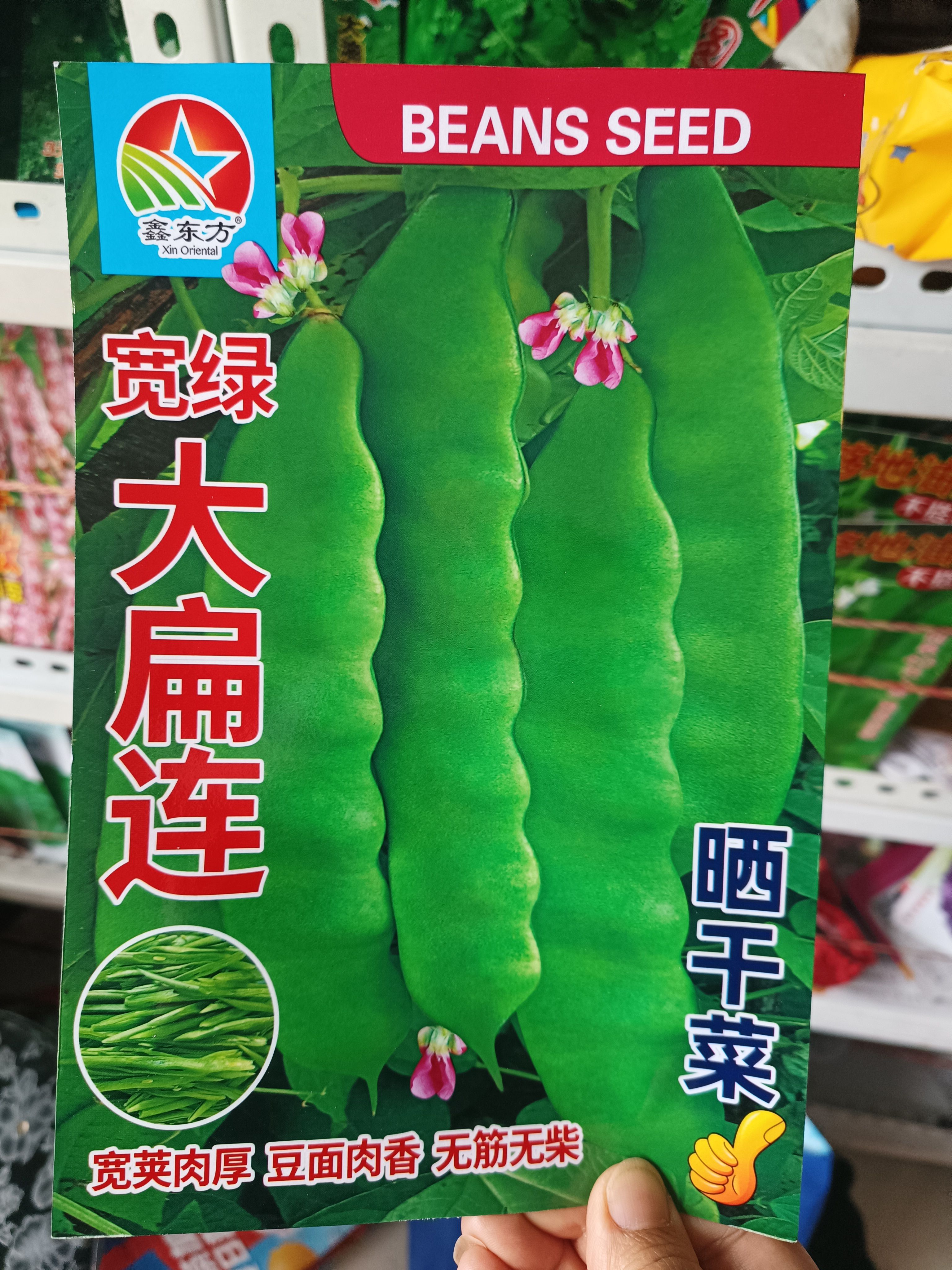 宽率大扁连油豆角种子晒豆角丝豆蔬菜种子/种苗