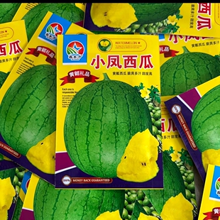 【小凤西瓜种子】黄壤嘎嘎甜
