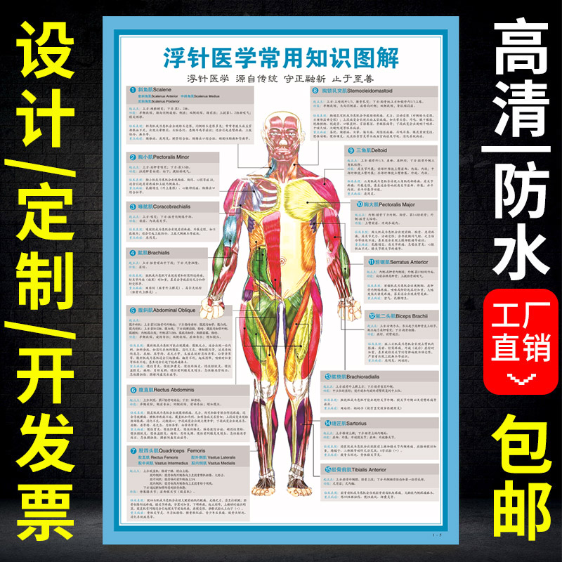 定制中医养生浮针疗法宣传海报挂图医学针灸挂图纸广告宣传画墙贴