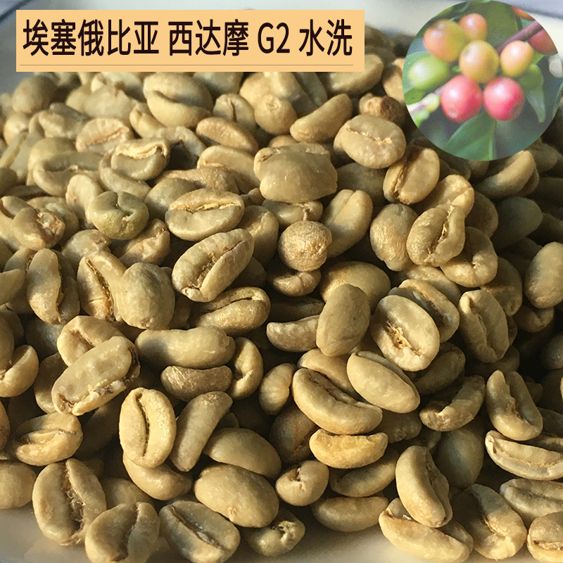 埃塞俄比亚咖啡生豆批发西达摩