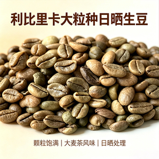 利比里卡大粒种咖啡生豆大麦茶风味告别小粒种单调厂家原料批发
