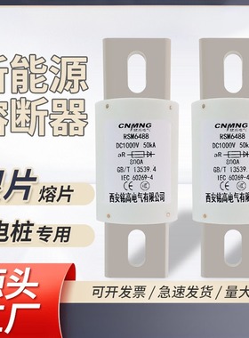 充电桩熔断器RSM6288/DC1000V/850A新能源直流熔断器RS309-MM/HEV