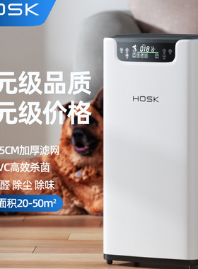 HOSK负离子家用空气净化器机除甲醛神器卧室客厅小型除味清新机