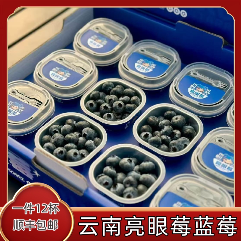 当季云南亮眼莓蓝莓15+中果50g*12杯新鲜水果蓝莓脆甜多汁发顺丰