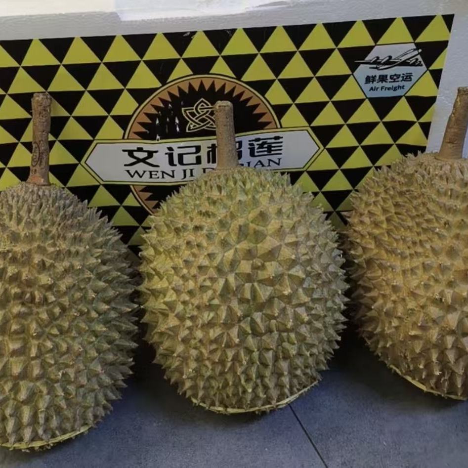 当季文记猫山王鲜果d197马来西亚猫山王榴莲鲜果非液氮发顺丰空运