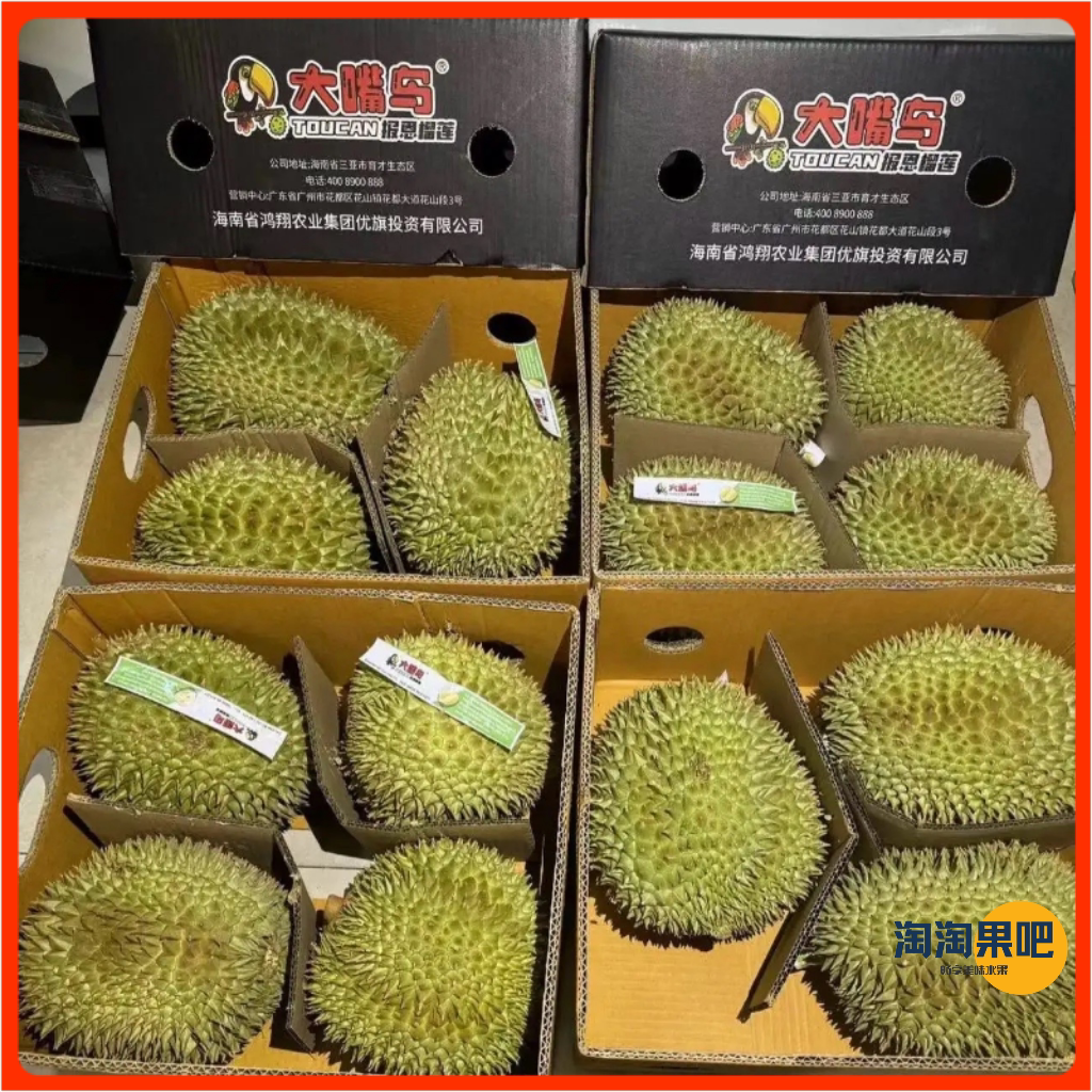 【大嘴鸟金枕】现货泰国空运树熟金枕榴莲干包黄肉金枕顺丰空运