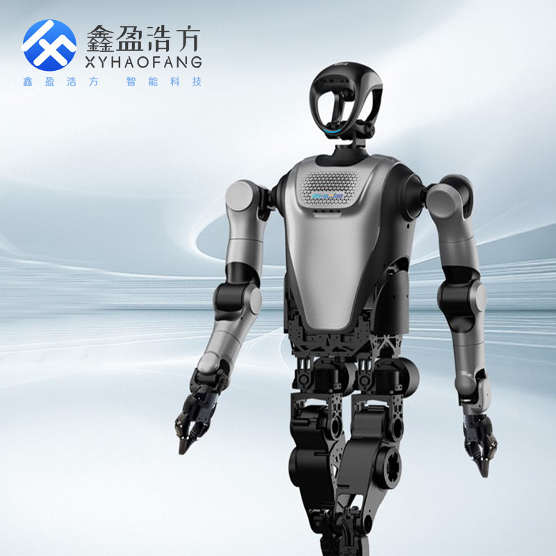 鑫盈浩方人形机器人表演机器人导览机器人迎宾机器人