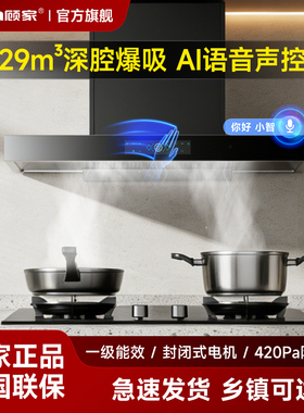 顾家黑色欧式顶吸款AI小智语音启动大吸力一级能效家用抽油烟机