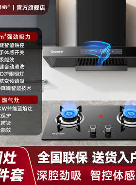 顾家油烟机套装黑色欧式大吸力一级能效挥手油烟机顶吸式烟灶套装