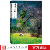 遇见树散文中 天籁之音当代散文名家苏沧桑精选集多篇散文入选全国各类散文选集散文年选排行榜教材读本人民文学