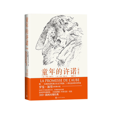 母爱自传体小说图文版法国文学