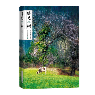 遇见树散文中的天籁之音当代散文名家苏沧桑精选集多篇散文入选全国各类散文选集散文年选排行榜教材读本人民文学