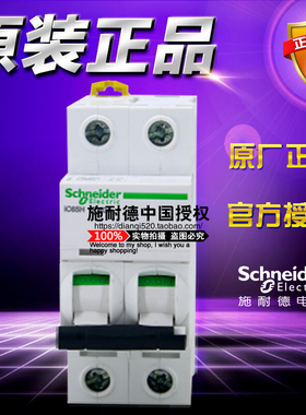 施耐德微型断路器A9F29210 IC65H 2P D型10A空气开关双极空开正品
