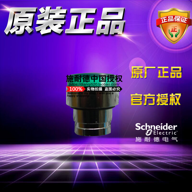 原装Schneider施耐德带灯按钮头 ZB2BW13C 绿色凸头按钮ZB2-BW13C