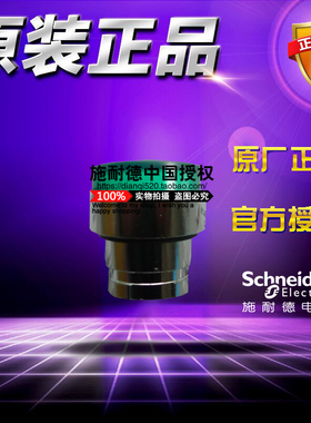 原装Schneider施耐德带灯按钮头 ZB2BW13C 绿色凸头按钮ZB2-BW13C