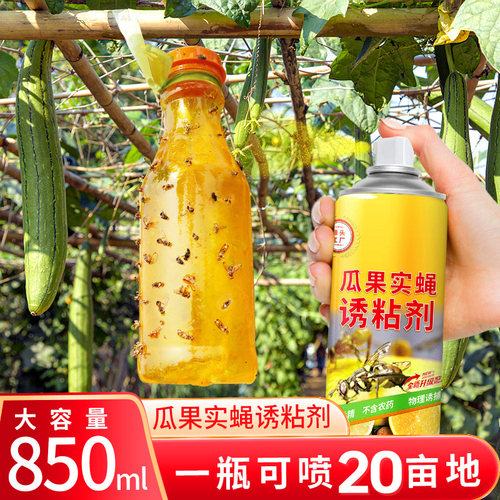 豪之盛瓜果实蝇诱粘剂