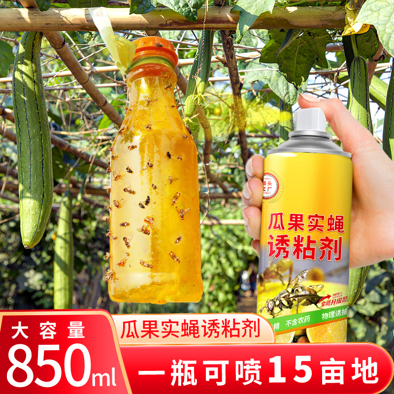 豪之盛瓜果实蝇诱粘剂