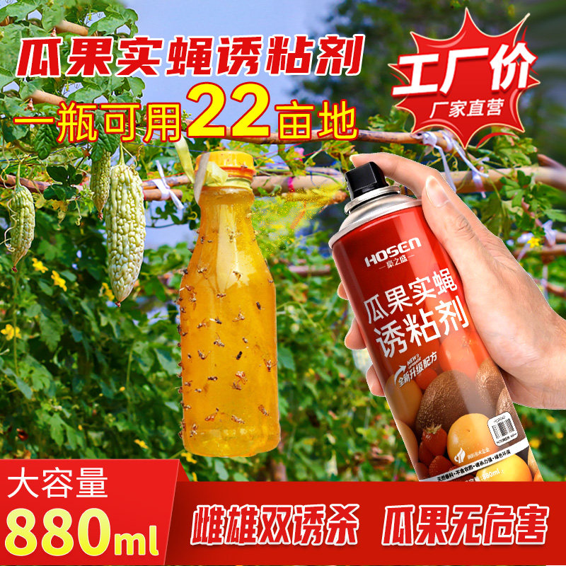 好尔德瓜果实蝇诱粘剂物理图片