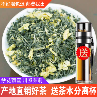 茉莉花茶2023新茶茶叶250g