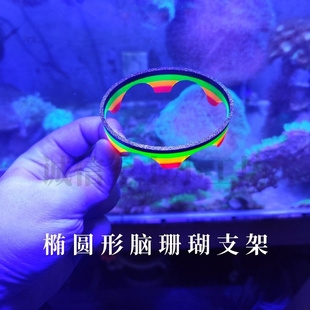 脑珊瑚荧光发光基座提升台八字脑富士脑珊瑚繁殖造景支架底座瓦片