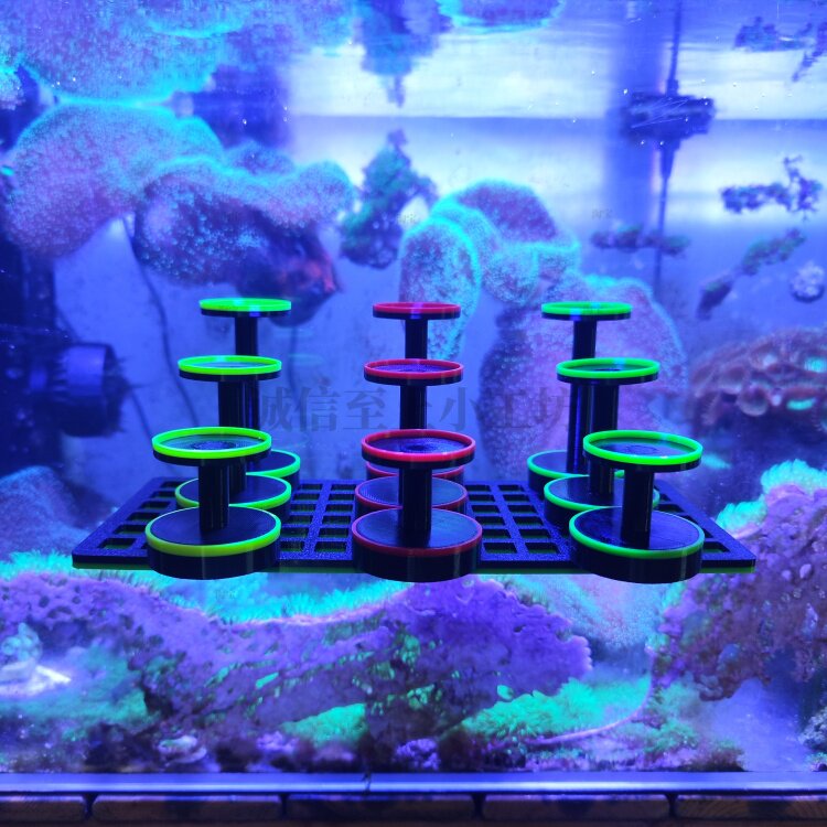 珊瑚软体硬骨提升增加高悬浮支架