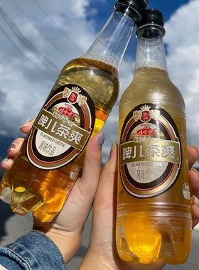 娃哈哈啤儿茶爽500mlx15瓶整箱
