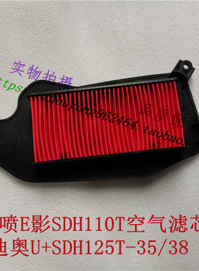 新大洲本田电喷E影E韵SDH110T-2-6-8迪奥U+SDH125T-35/38空气滤芯