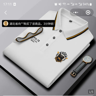 雪溪服饰专卖店男装专柜正品2026新款高档男士POLO衫时尚短袖T恤